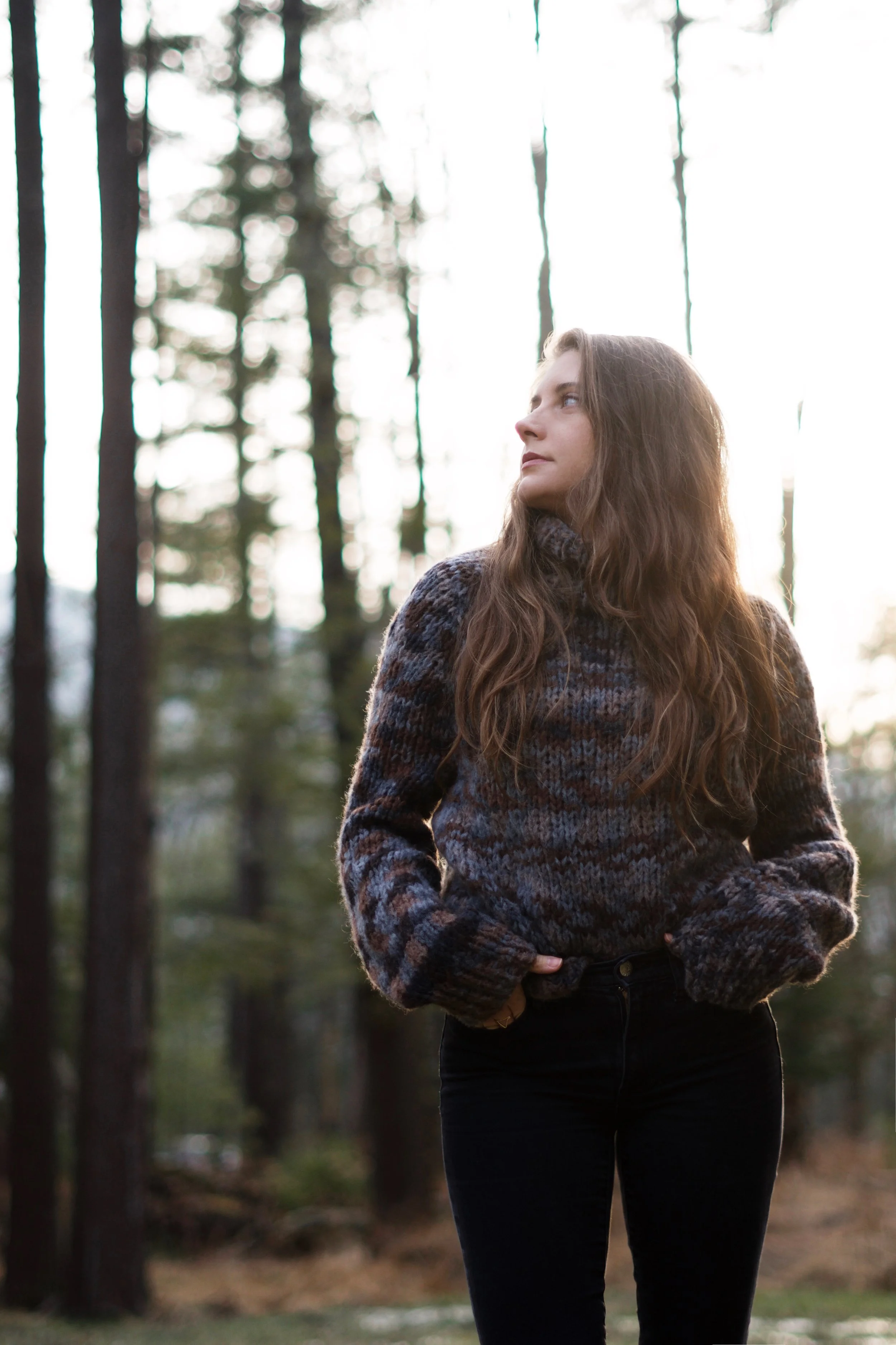 Pinewood Raglan Turtleneck FREE Knitting Pattern — Two of Wands